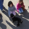 2012_therapiehunde-einsatz_DSC07248