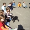 2012_therapiehunde-einsatz_DSC07253