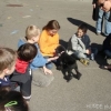 2012_therapiehunde-einsatz_DSC07256