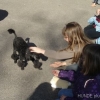 2012_therapiehunde-einsatz_DSC07259