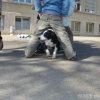 2012_therapiehunde-einsatz_DSC07261