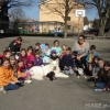 2012_therapiehunde-einsatz_DSC07264