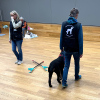 2025_Hundeplus_Therapie_IMG_6011