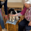 2025_hundeplus_Therapiehunde_IMG_7560