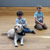 2025_hundeplus_therapie_IMG_8390