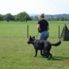 2009_training_svaholming_august_DSC04952