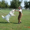 2009_training_svaholming_august_DSC04957