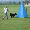 2009_training_svaholming_august_DSC04968