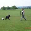 2009_training_svaholming_august_DSC04973