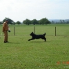 2009_training_svaholming_august_DSC04974