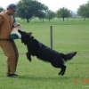 2009_training_svaholming_august_DSC04976