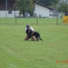 2009_training_svaholming_august_DSC04982