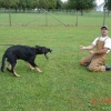 2009_training_svaholming_august_DSC04984