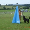 2009_training_svaholming_august_DSC04990