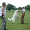 2009_training_svaholming_august_DSC04992