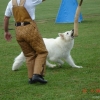 2009_training_svaholming_august_DSC04996