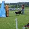 2009_training_svaholming_august_DSC05004