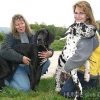2008_hundeschueler_Casimir_Patra