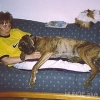 2008_hundeschueler_Cosy
