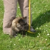 2008_hundeschueler_DSC01273