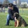 2008_hundeschueler_DSC02219