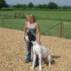 2008_hundeschueler_DSC02380