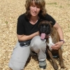 2008_hundeschueler_DSC02385