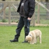 2008_hundeschueler_DSC_0061