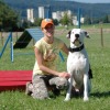 2008_hundeschueler_HS15