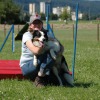 2008_hundeschueler_HS18