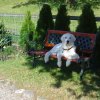 2008_hundeschueler_Joker1