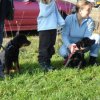 2008_hundeschueler_Ronja-und-Jaska2