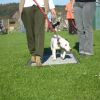 2008_hundeschueler_Schüler_1