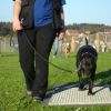 2008_hundeschueler_Schüler_10