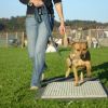 2008_hundeschueler_Schüler_11