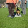 2008_hundeschueler_Schüler_2