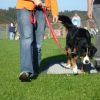 2008_hundeschueler_Schüler_4