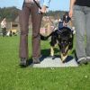 2008_hundeschueler_Schüler_5