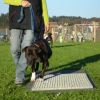 2008_hundeschueler_Schüler_9