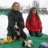 2010_hundeschueler_IMG_4649