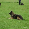 2012_schueler_DSC07465