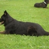 2012_schueler_DSC07466