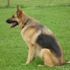 2012_schueler_DSC07467