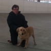 2012_schueler_IMG_1921