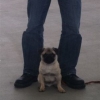 2012_schueler_IMG_1924
