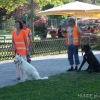 2008_vorbereitungskurs_DSC02480