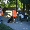 2008_vorbereitungskurs_DSC02486