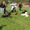 2008_vorbereitungskurs_HFP_1103