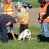 2008_vorbereitungskurs_HFP_1140