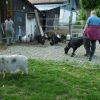 2008_vorbereitungskurs_PICT0125
